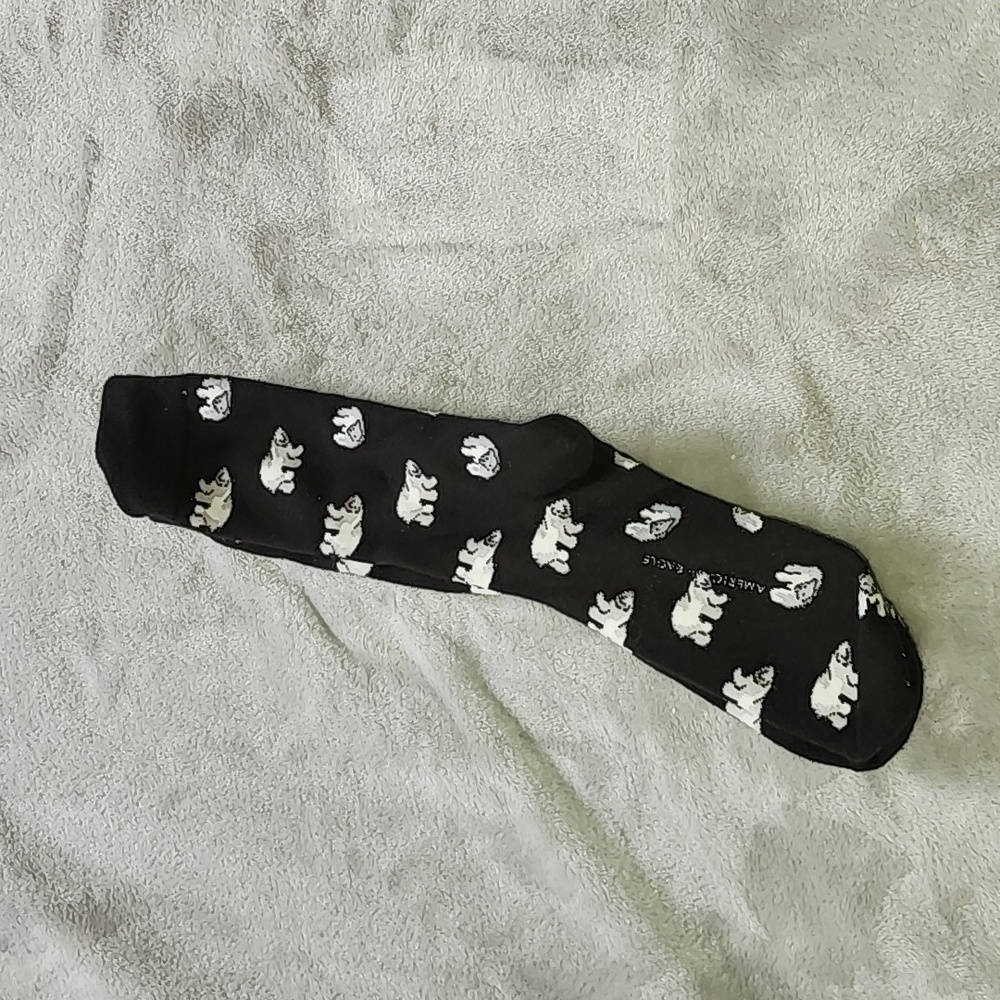 American Eagle Polar Bear Socks